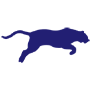 Chicago Comer logo